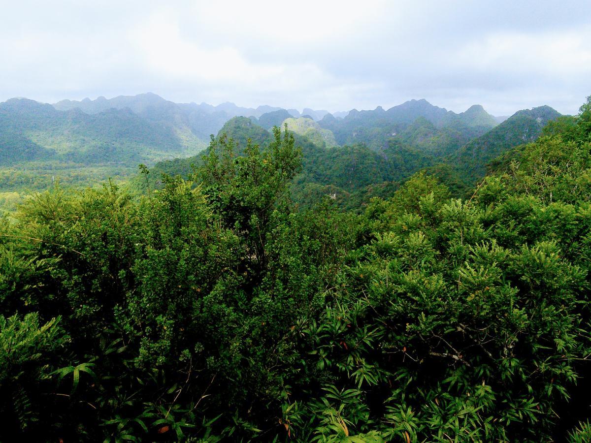Nam Phuong Hotel Dong Khe Sau Eksteriør billede